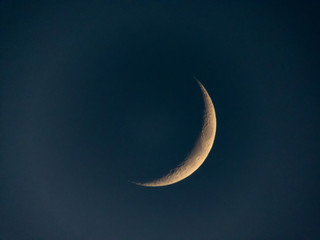 Wall Mural - crescent moon
