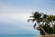© piyaphong - Paradise beach with palm tree.
