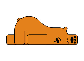 sleeping bear isolated. beast is sleeping. vector illustration