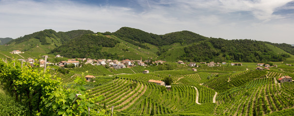 Panorama of vineyard county around Valdobbiadene