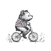 Cute Baby Boy Bear Riding A Bicycle . Animal Illustration. Can Be Used For Kid's Or Baby's Shirt Design. Fashion Print Design, Fashion Graphic, T-shirt, Kids Wear