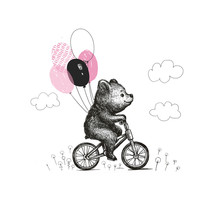 Cute Baby Boy Bear With The Balloons Riding A Bicycle . Animal Illustration. Can Be Used For Kid's Or Baby's Shirt Design. Fashion Print Design, Fashion Graphic, T-shirt, Kids Wear