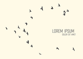 Wall Mural - silhouette of a flock of flying birds