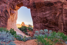 Arches Pine Tree Arch 01