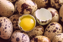 Raw Quail Eggs And Broken Egg With Yolk Close-up. Halves Of Quail Raw Egg Close-up. Background With Quail Eggs.