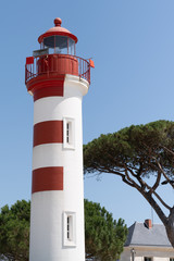 Wall Mural - La Rochelle vertical lighthouse on sunny day in south western france