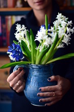 Woman's Hands Holding A Blue Vase With Blue And White Hyacinth