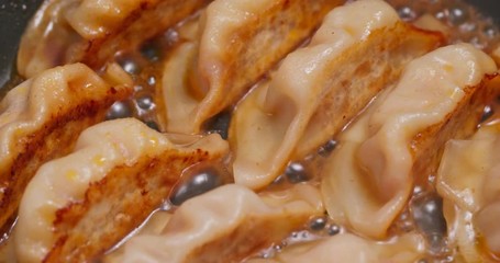 Sticker - Fry Meat dumpling on pan