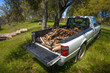 White pickup truck with firewood loaded in bed - Sierra Foothills