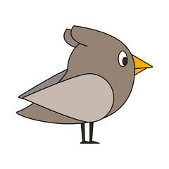 Poster - cute animal bird natural cartoon