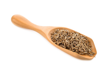 Wall Mural - caraway seeds in wood scoop on white background