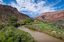 Dolores River & Red Rock Canyon Landscape - Colorado