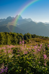 Wall Mural - landscape with flowers and mountains