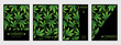 Set of vector cover templates with cannabis leaves for business, advertising, exhibition, party and etc.