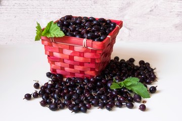 Wall Mural - Blackberries in a red basket isolated on white