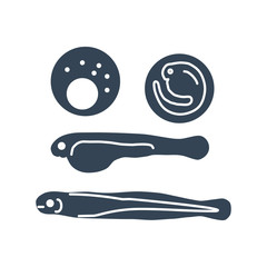 black icon caviar, eggs and larvae, juvenile fish