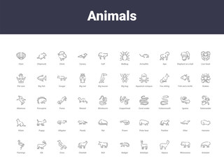 animals outline icons