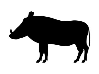 Wall Mural - Vector black silhouette warthog