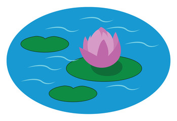 Canvas Print - Purple water lily, vector or color illustration.