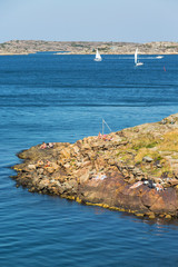 Canvas Print - People sunbathing on a rocky bathing place