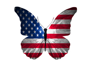 Aufkleber - butterfly with usa flag on wings isolated on white background. starry striped flag.