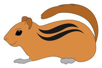 Poster - Cute little gopher, illustration, vector on white background.