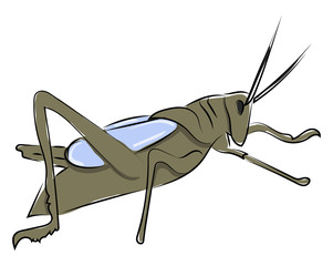 Sticker - Grasshopper drawing, illustration, vector on white background.