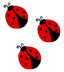 Wall Mural - Ladybugs, illustration, vector on white background.