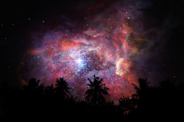 Wall Mural - blur ancient stardust nebula back on night cloud sky over silhouette forest