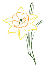 Wall Mural - Yellow flower, illustration, vector on white background.