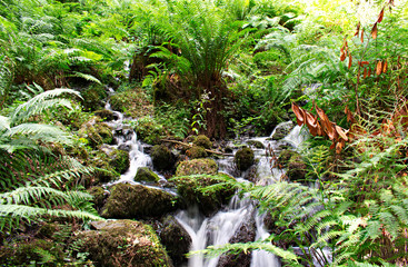 waterfall in japanese garden