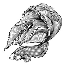 Hand Drawn Of Fish Isolated.Gold And Silver Version. Vector Illustration.