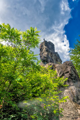 Wall Mural - Hirschen Sprung Fels Karlsbad Berg Wald