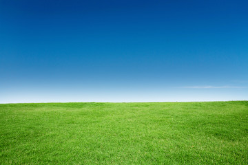 green grass texture with blang copyspace against blue sky