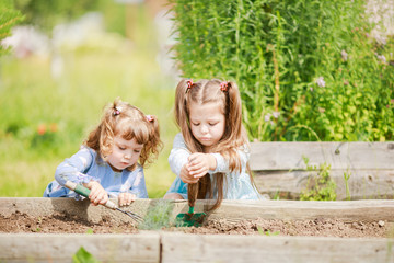 Two little sisters working in the garden together