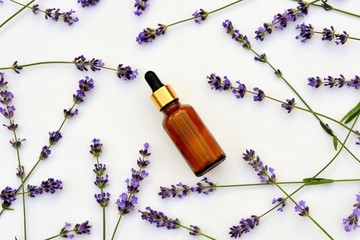 Wall Mural - Lavender oil with lavender flowers on white background top view