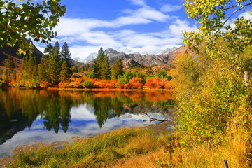 Sticker - Autumn in eastern Sierra mountains