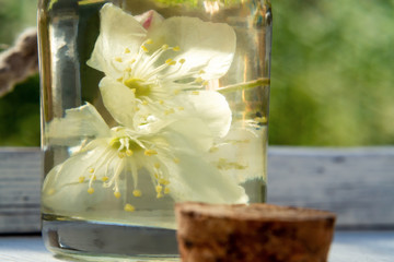 Wall Mural - flowers of philadelphus somewhere called jasmine or mock orange and a bottle of oil on a white wooden table, close up