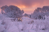 Fototapeta Natura - Winter scene at sunrise. Winter nature landscape. Frosty trees on river side. Amazing colorful sky at winter dawn. Scenic winter