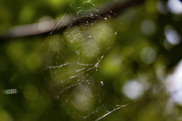 a battle engaged net.