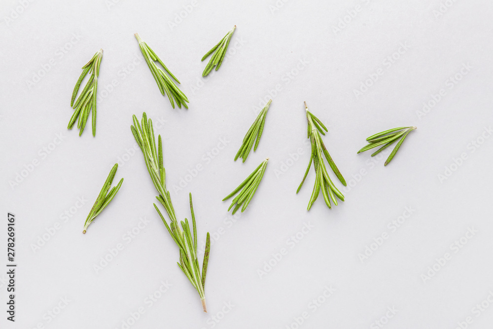Fresh rosemary on light background