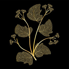 Wall Mural - branch with leaves isolated. vector illustration.