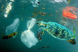 Fototapeta  - Plastic pollution in ocean environmental problem. Turtles can eat plastic bags mistaking them for jellyfish