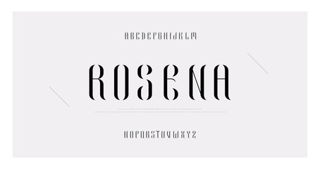 Elegant alphabet letters font and number. Classic Lettering Minimal Fashion Designs. Typography fonts serif uppercase. vector illustration