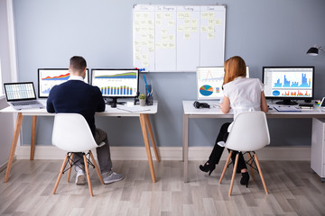 Poster - Businessman And Businesswoman Analyzing Bar Graph Using Computer