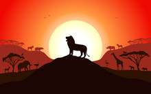Roaring Silhouette Of A Lion Standing On A Hill