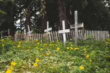 White Crosses And Wildflowers In Remote Cemetery