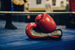 © MyMicrostock/Stocksy - Boxing gloves in the floor ring