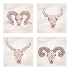 Vector set of four illustrations with hand drawn skulls wild buffalo, bull and ram on vintage background. Sketch in beige color.