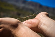 © DearTravallure - Stick Insect Walking on Hands in the Mountains